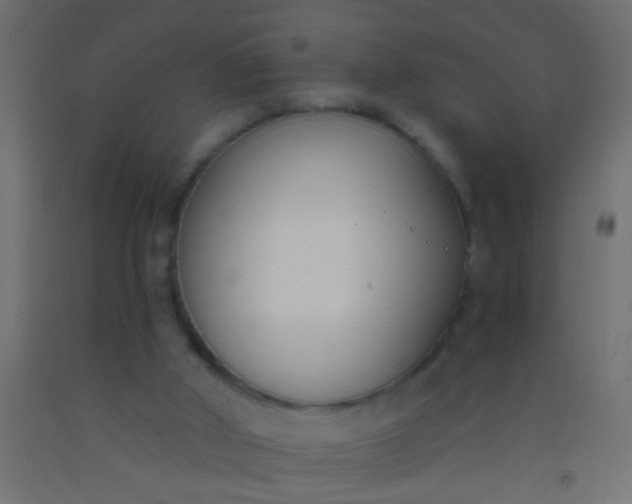 X0000093090010200710101526