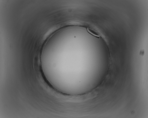 X0000093090011200710101526