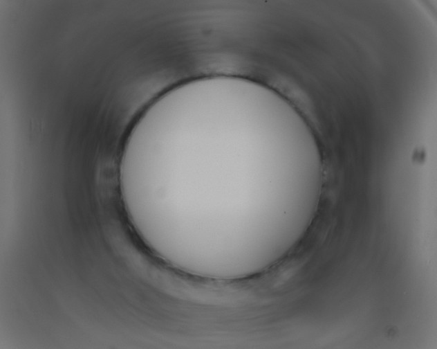 X0000093090012200710101526