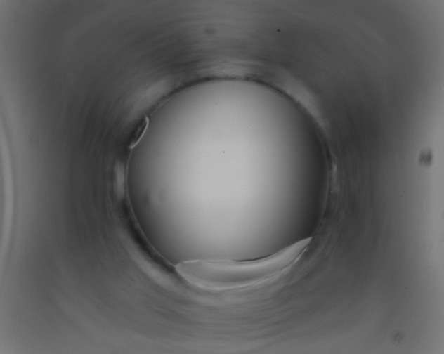 X0000093090013200710101526