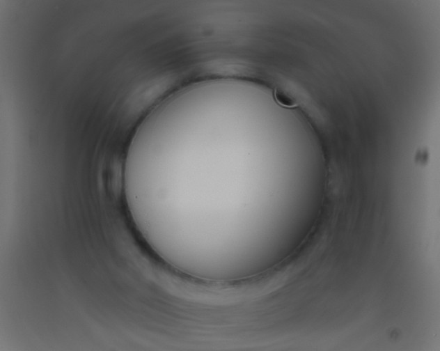 X0000093090014200710101526