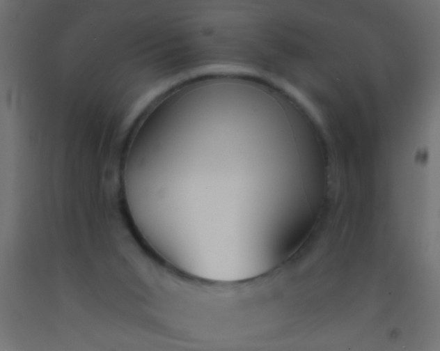 X0000093090015200710101526