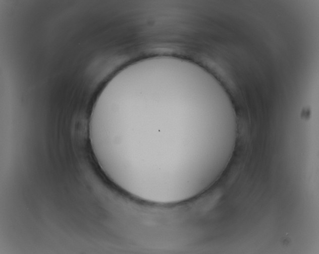 X0000093090016200710101526