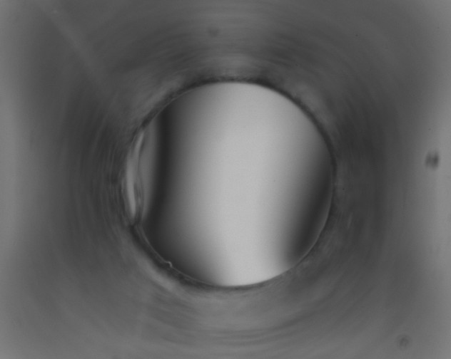 X0000093090017200710101526