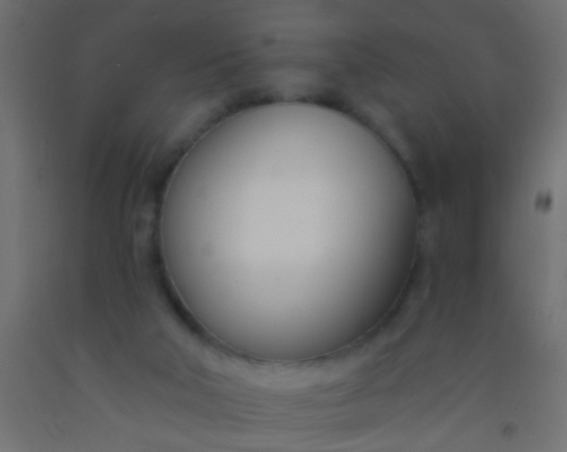 X0000093090018200710101526