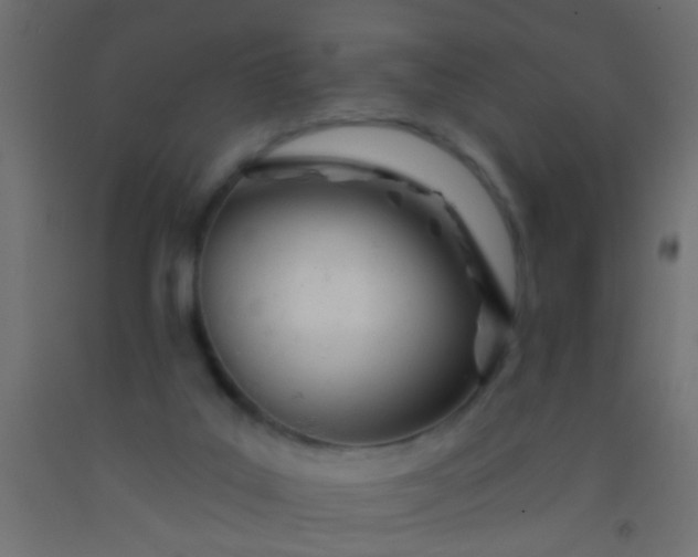 X0000093090019200710101526