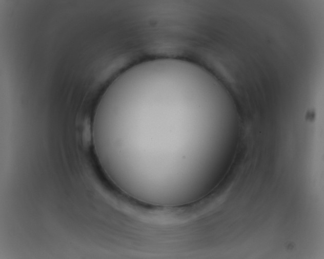 X0000093090020200710101526