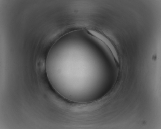 X0000093090021200710101526