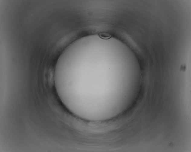 X0000093090022200710101526