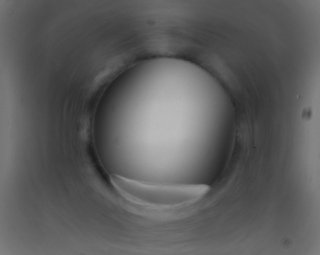 X0000093090023200710101526