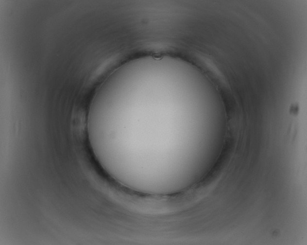 X0000093090024200710101526