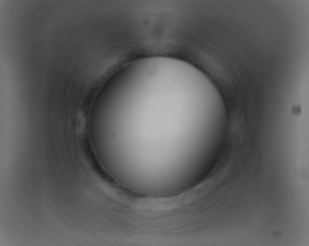 X0000093090025200710101526