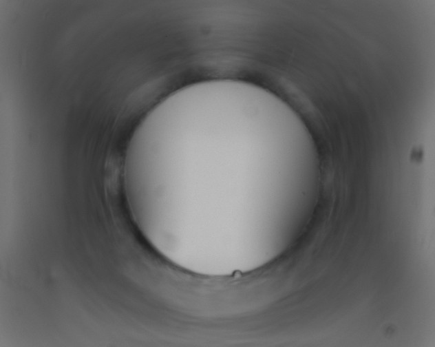 X0000093090026200710101526