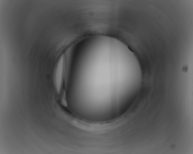 X0000093090027200710101526