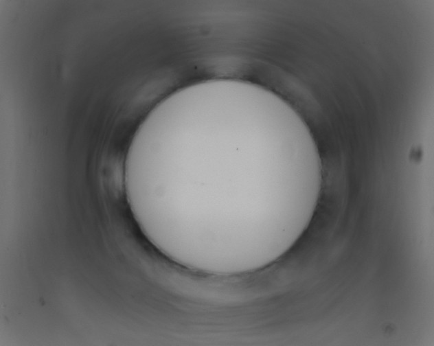 X0000093090028200710101526