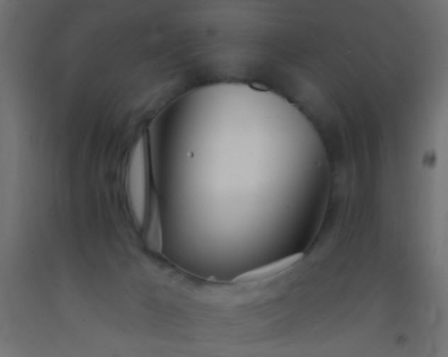 X0000093090029200710101526