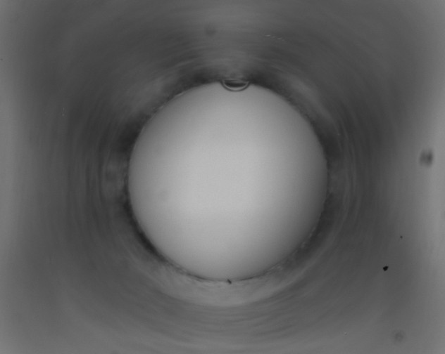 X0000093090030200710101526