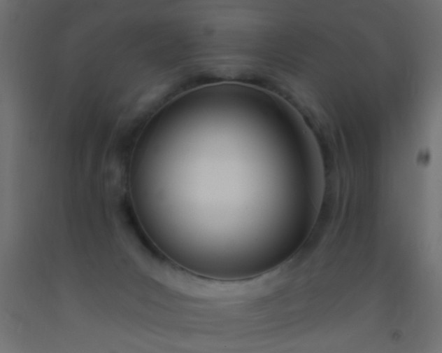 X0000093090031200710101526