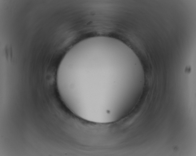 X0000093090032200710101526