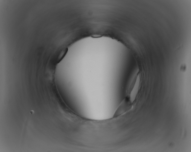 X0000093090033200710101526