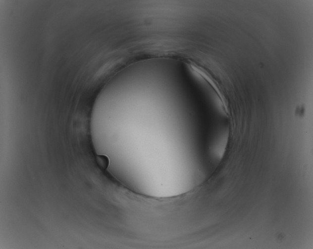 X0000093090035200710101526