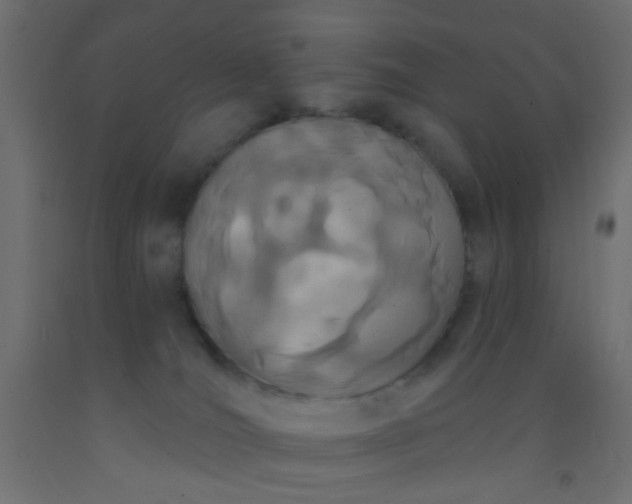 X0000093090036200710101526