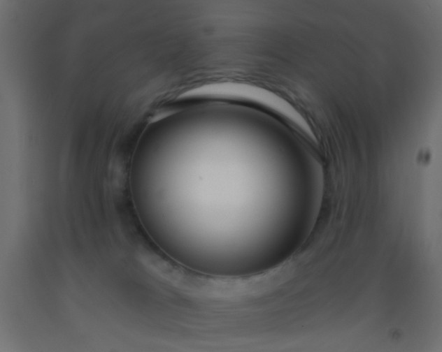 X0000093090037200710101526