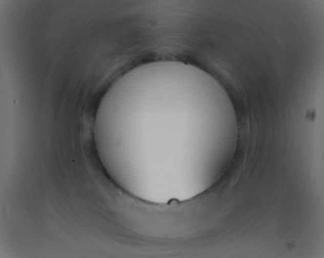 X0000093090038200710101526