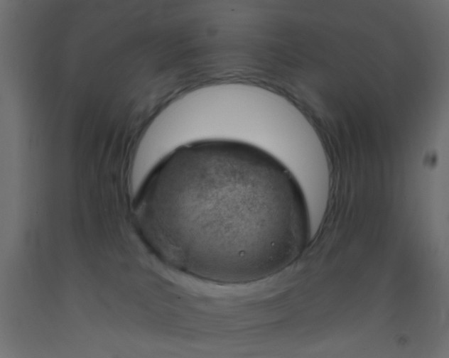 X0000093090039200710101526