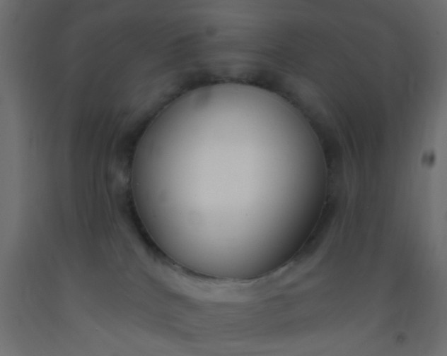 X0000093090040200710101526