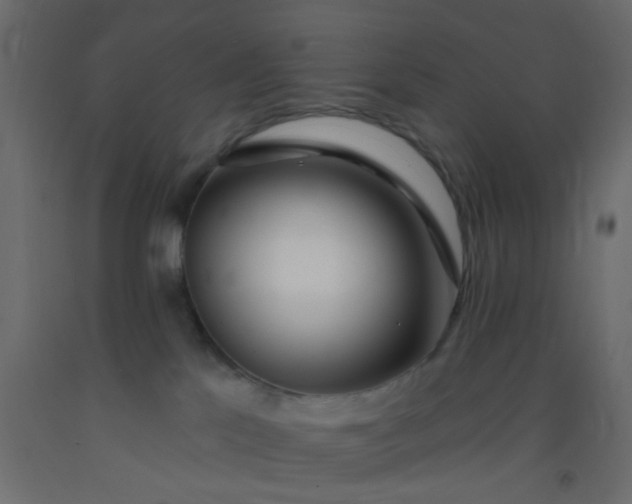 X0000093090041200710101526