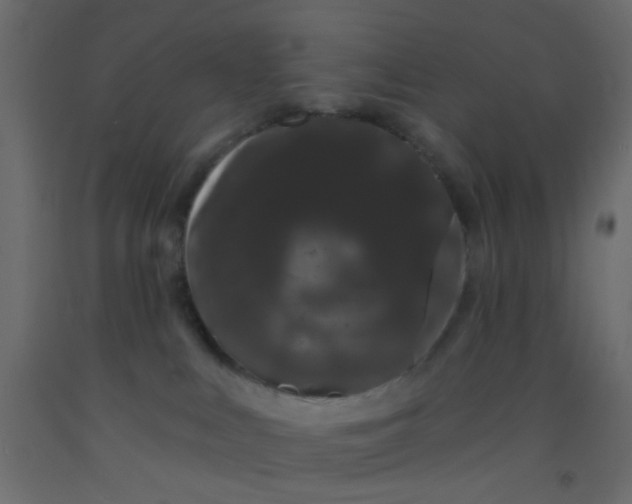 X0000093090043200710101526