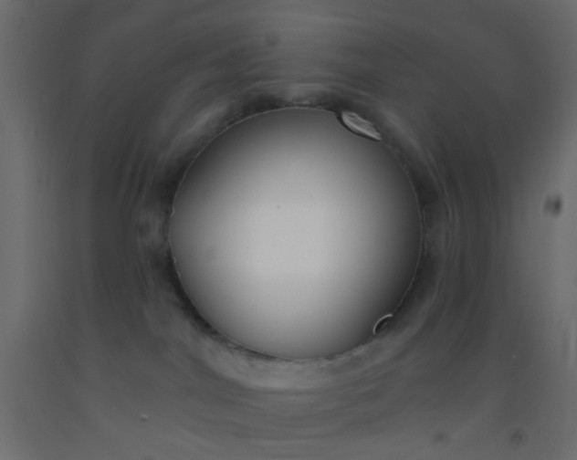 X0000093090044200710101526