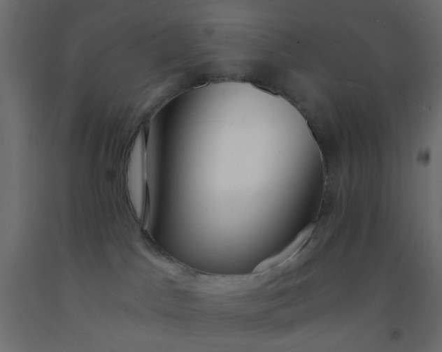 X0000093090045200710101526