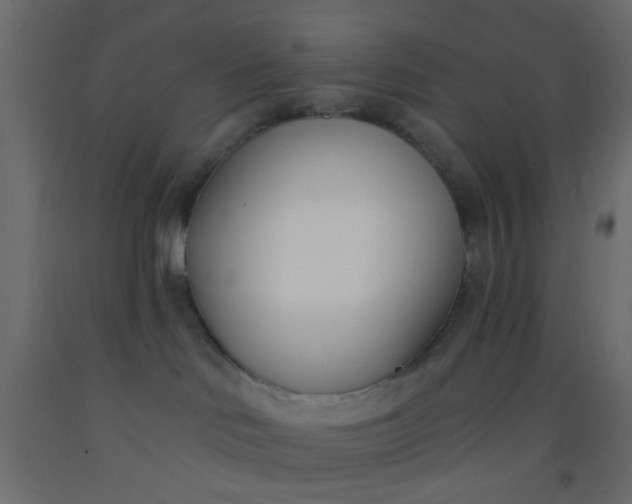 X0000093090046200710101526