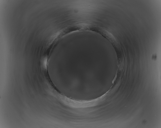 X0000093090047200710101526