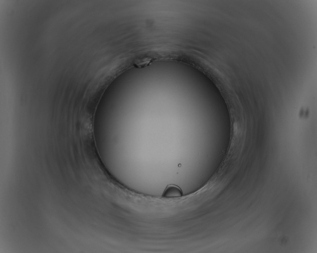 X0000093090048200710101526