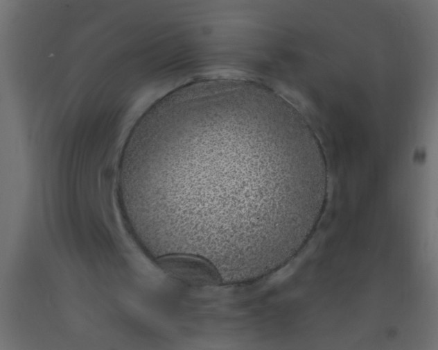 X0000093090049200710101525