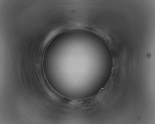 X0000093090051200710101525