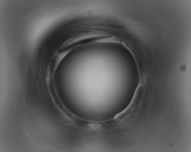 X0000093090052200710101525