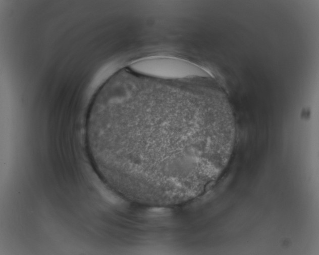 X0000093090053200710101525