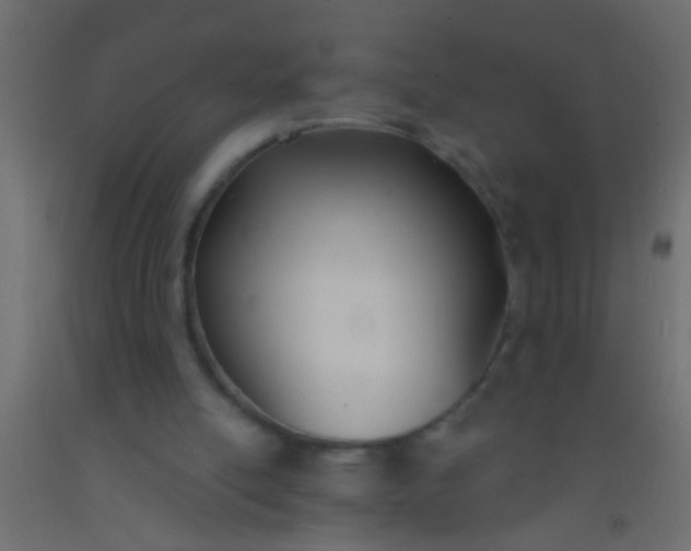 X0000093090054200710101525