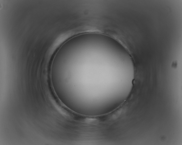 X0000093090055200710101525