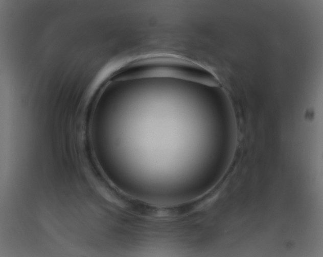 X0000093090056200710101525