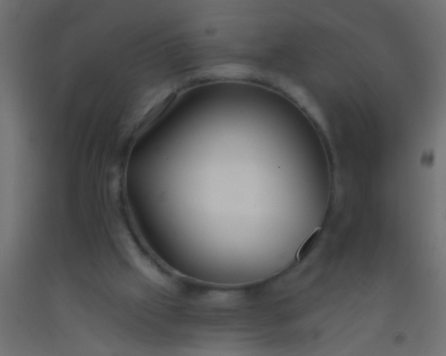 X0000093090057200710101525