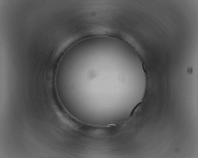 X0000093090058200710101526