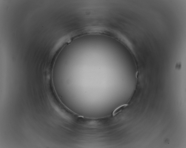 X0000093090059200710101526