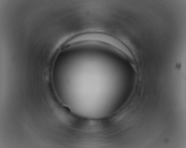 X0000093090060200710101526