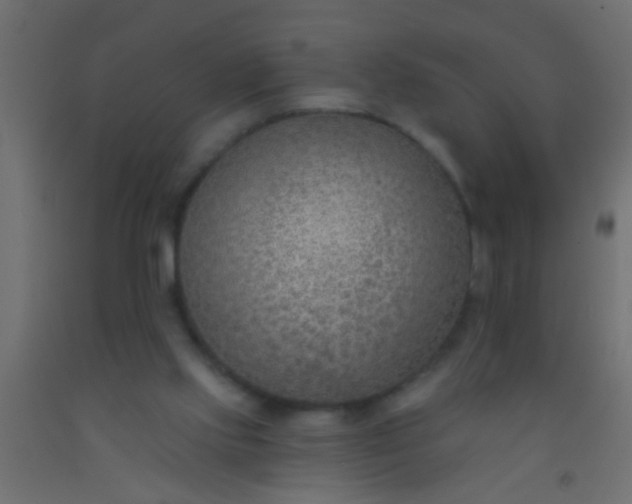 X0000093090061200710101526