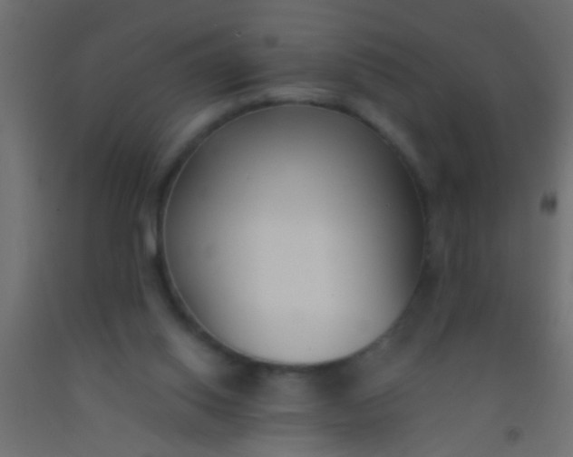 X0000093090062200710101526